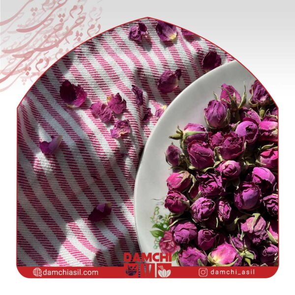 برگ گل محمدی