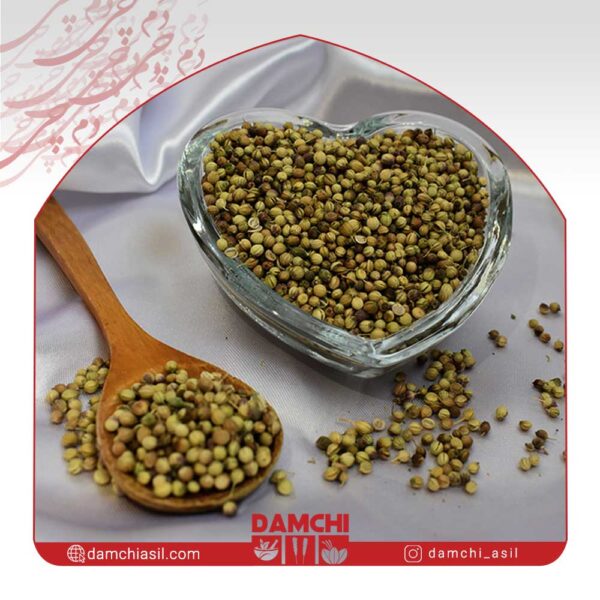 تخم گشنیز