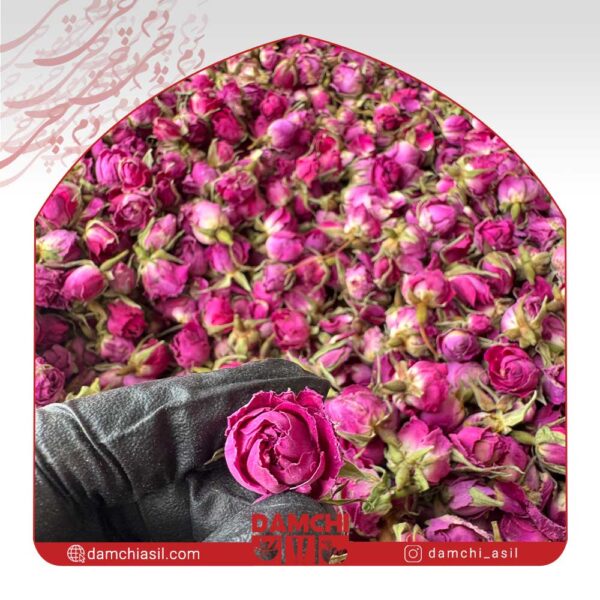 غنچه گل محمدی اعلا