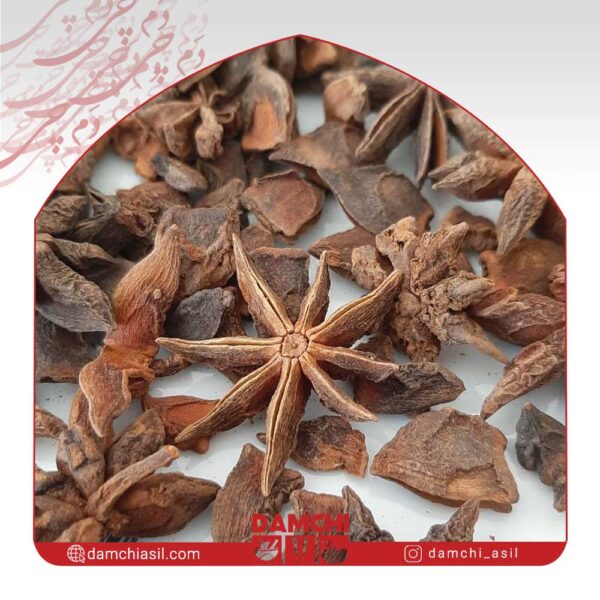 ستاره انیس 100 گرمی _ زیپ کیپ